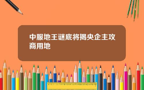 中服地王谜底将揭央企主攻商用地