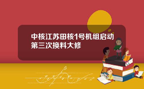 中核江苏田核1号机组启动第三次换料大修