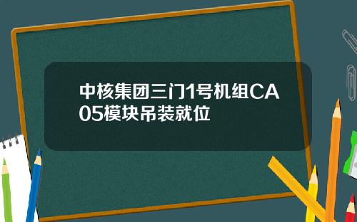 中核集团三门1号机组CA05模块吊装就位