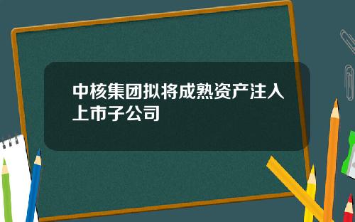 中核集团拟将成熟资产注入上市子公司