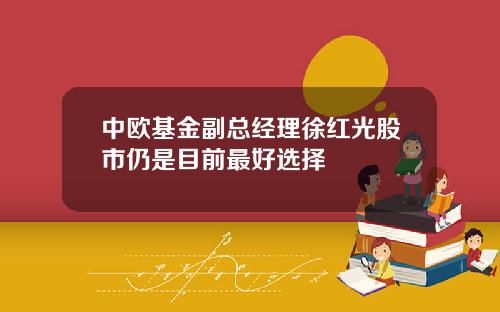 中欧基金副总经理徐红光股市仍是目前最好选择