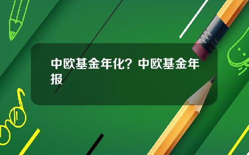 中欧基金年化?中欧基金年报