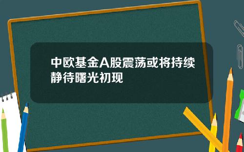 中欧基金A股震荡或将持续静待曙光初现