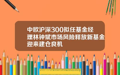 中欧沪深300拟任基金经理林钟斌市场风险释放新基金迎来建仓良机