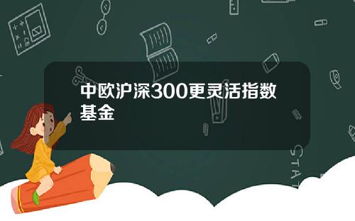 中欧沪深300更灵活指数基金