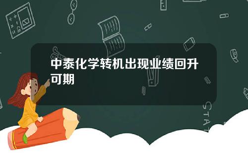 中泰化学转机出现业绩回升可期