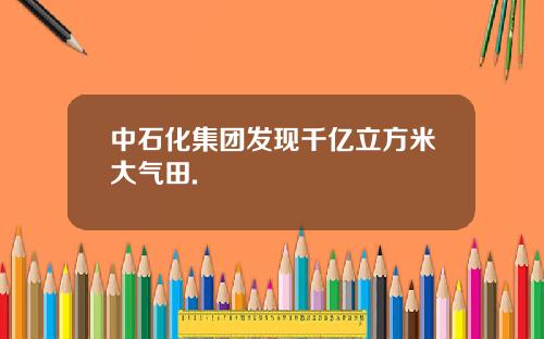 中石化集团发现千亿立方米大气田.