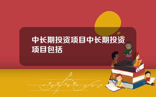 中长期投资项目中长期投资项目包括