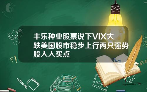 丰乐种业股票说下VIX大跌美国股市稳步上行两只强势股入入买点
