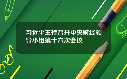 习近平主持召开中央财经领导小组第十六次会议