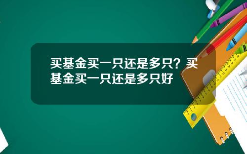 买基金买一只还是多只？买基金买一只还是多只好
