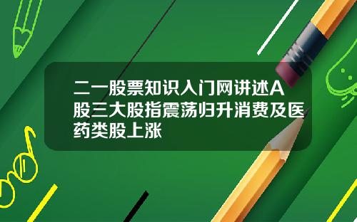 二一股票知识入门网讲述A股三大股指震荡归升消费及医药类股上涨