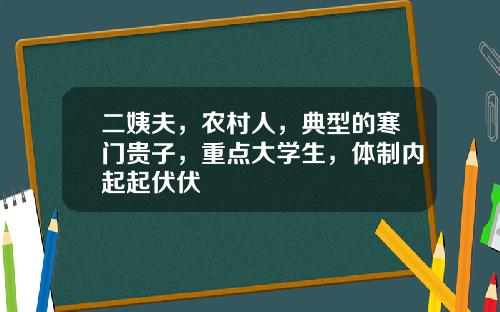 二姨夫,农村人,典型的寒门贵子,重点大学生,体制内起起伏伏