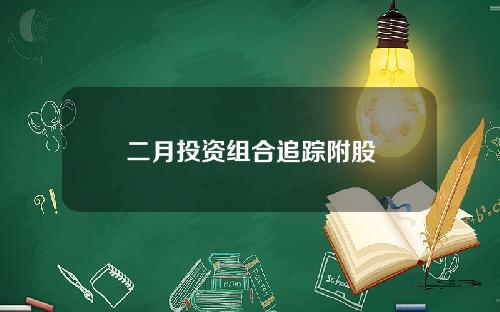 二月投资组合追踪附股