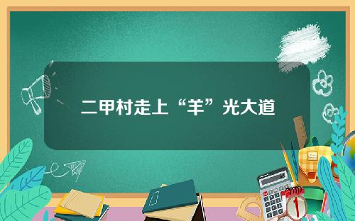 二甲村走上“羊”光大道