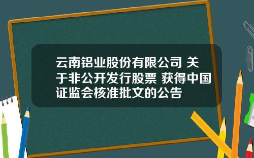 云南铝业股份有限公司 关于非公开发行股票 获得中国证监会核准批文的公告