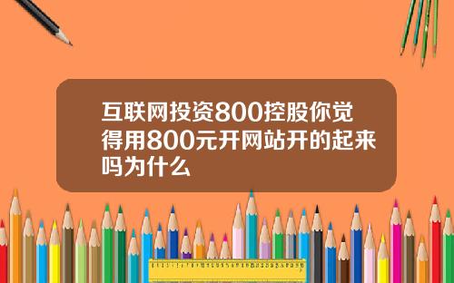 互联网投资800控股你觉得用800元开网站开的起来吗为什么