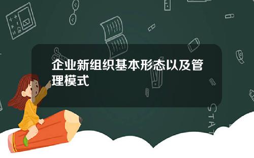 企业新组织基本形态以及管理模式