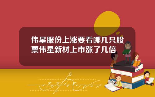伟星服份上涨要看哪几只股票伟星新材上市涨了几倍