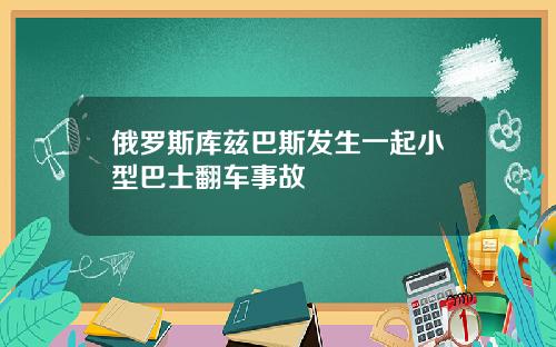 俄罗斯库兹巴斯发生一起小型巴士翻车事故