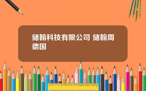 储翰科技有限公司 储翰周德国