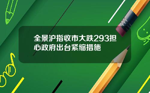 全景沪指收市大跌293担心政府出台紧缩措施