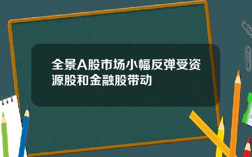 全景A股市场小幅反弹受资源股和金融股带动