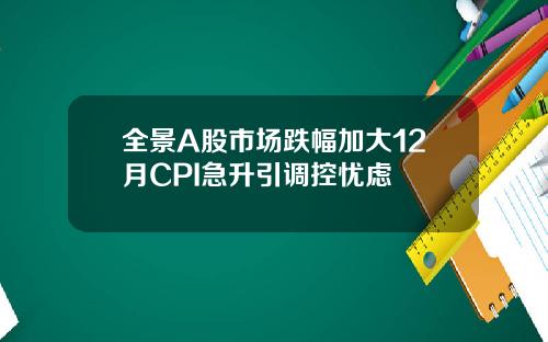 全景A股市场跌幅加大12月CPI急升引调控忧虑