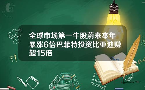 全球市场第一牛股蔚来本年暴涨6倍巴菲特投资比亚迪赚超15倍