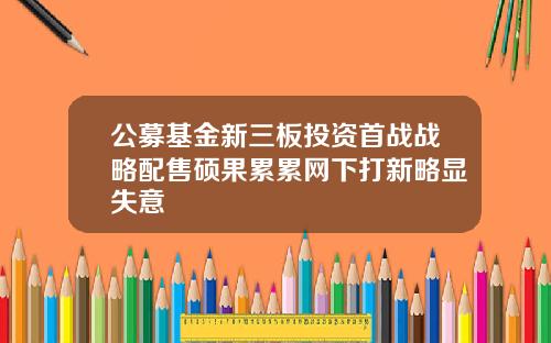 公募基金新三板投资首战战略配售硕果累累网下打新略显失意