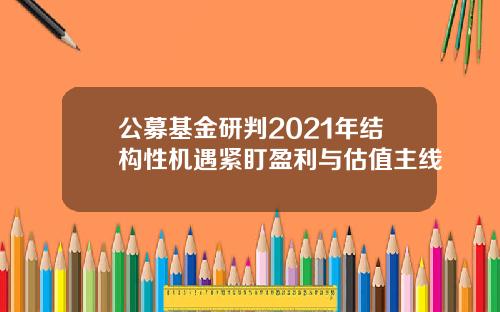 公募基金研判2021年结构性机遇紧盯盈利与估值主线