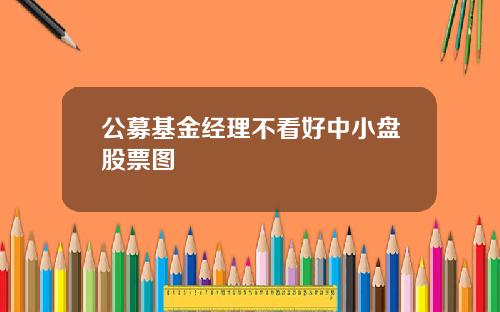 公募基金经理不看好中小盘股票图