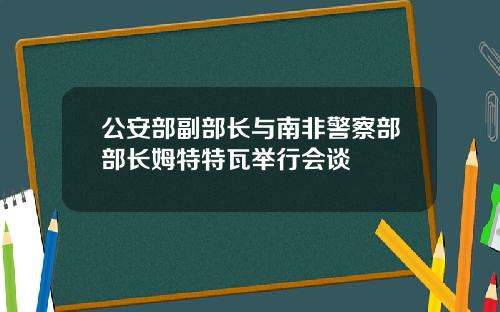 公安部副部长与南非警察部部长姆特特瓦举行会谈
