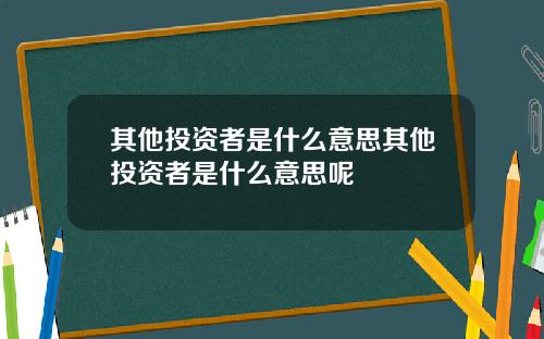其他投资者是什么意思其他投资者是什么意思呢