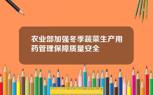 农业部加强冬季蔬菜生产用药管理保障质量安全