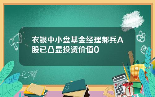 农银中小盘基金经理郝兵A股已凸显投资价值0