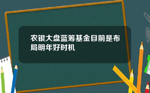 农银大盘蓝筹基金目前是布局明年好时机