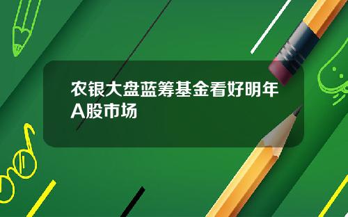 农银大盘蓝筹基金看好明年A股市场