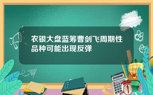 农银大盘蓝筹曹剑飞周期性品种可能出现反弹