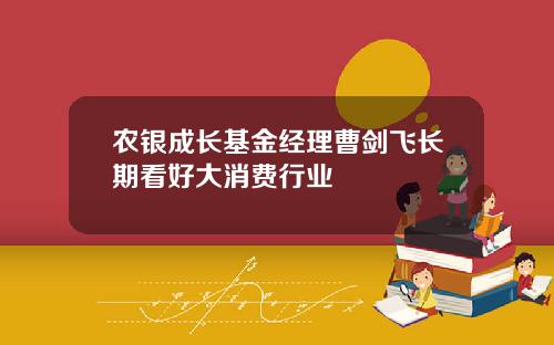 农银成长基金经理曹剑飞长期看好大消费行业