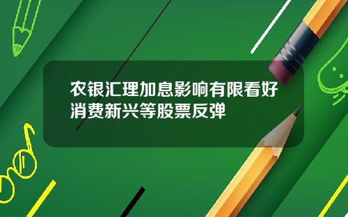 农银汇理加息影响有限看好消费新兴等股票反弹