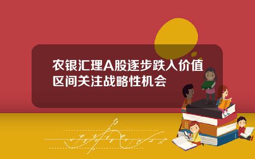 农银汇理A股逐步跌入价值区间关注战略性机会