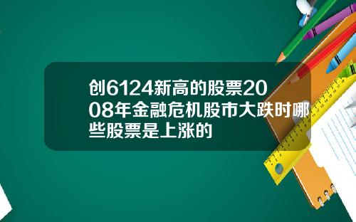 创6124新高的股票2008年金融危机股市大跌时哪些股票是上涨的