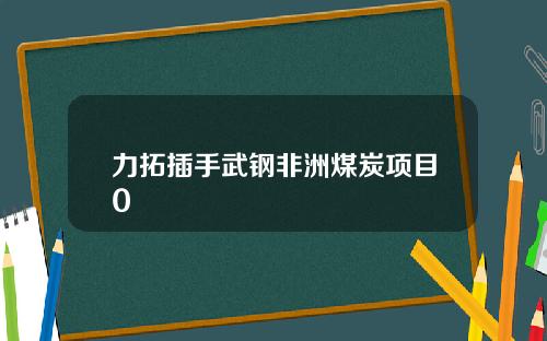 力拓插手武钢非洲煤炭项目0