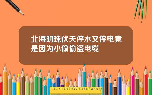北海明珠伏天停水又停电竟是因为小偷偷盗电缆