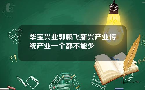 华宝兴业郭鹏飞新兴产业传统产业一个都不能少