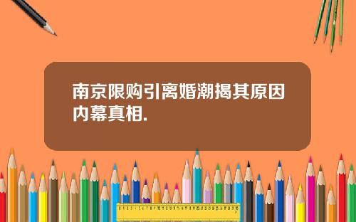 南京限购引离婚潮揭其原因内幕真相.