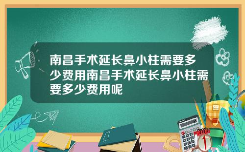南昌手术延长鼻小柱需要多少费用南昌手术延长鼻小柱需要多少费用呢
