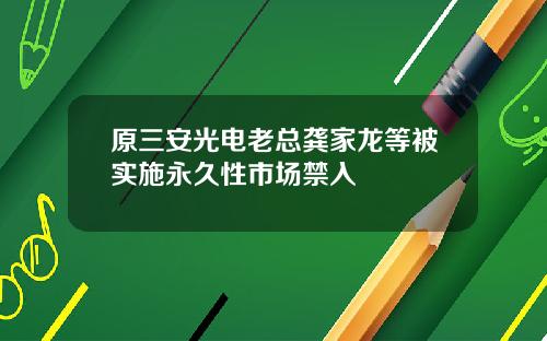 原三安光电老总龚家龙等被实施永久性市场禁入