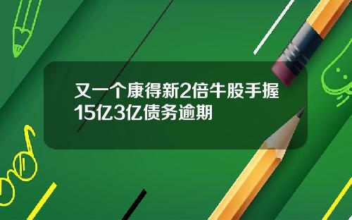 又一个康得新2倍牛股手握15亿3亿债务逾期